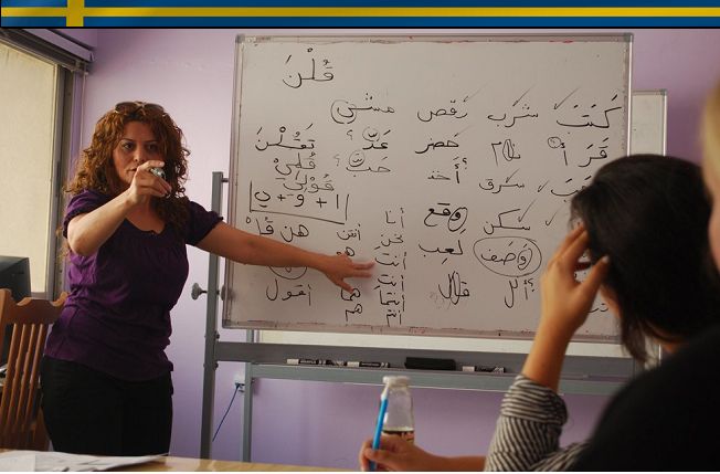 Untitled compressed 9