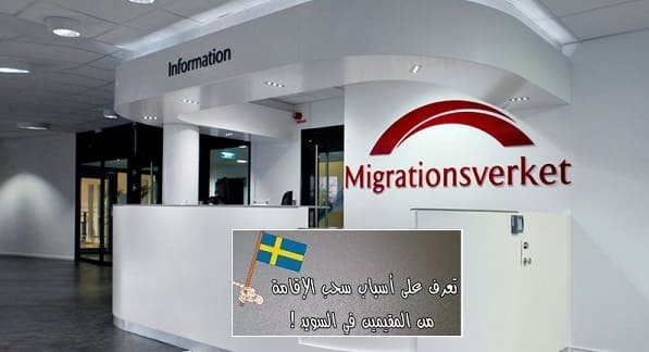 migrationsverket 02 900x600 800x533 iloveimg compressed