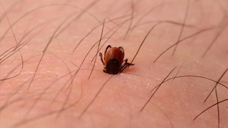 538 jpg 33762854190062414