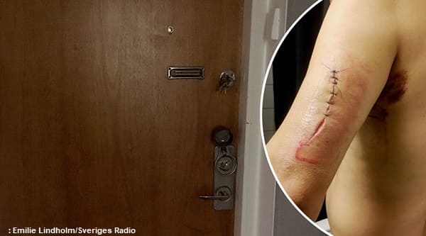 87bb2060 3f10 450f b881 8b009b00ee16 iloveimg compressed