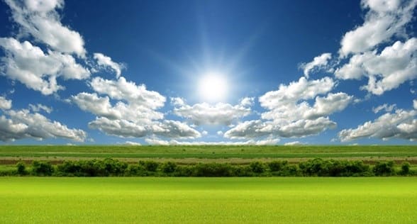 printemps 600x345 2 1