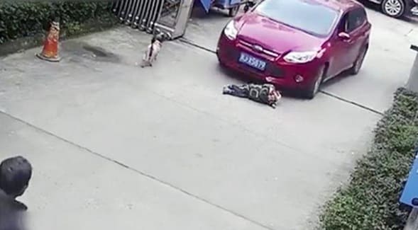 1cec214e 1ba7 4383 be6c 79b59f110834 16x9 1200x676 1