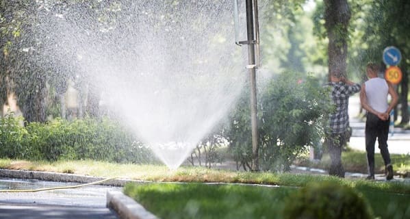 fee3b05c 694b 44bf 84f3 9c8db1f66a3a 1