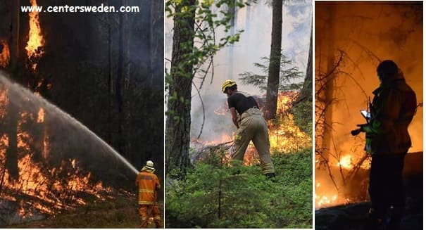 حرائق غابات 800x531 1