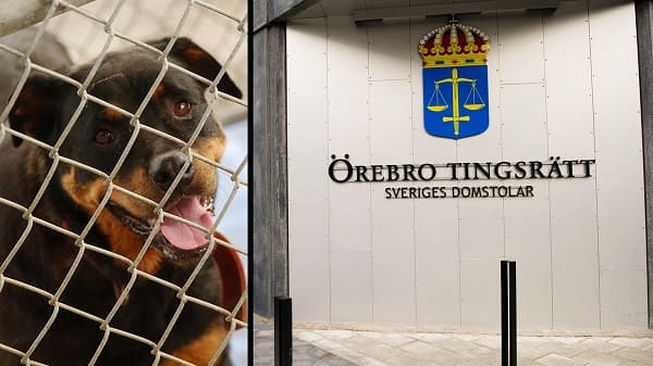 b57276b526cf788820d771076e43fc185bef4eed 1