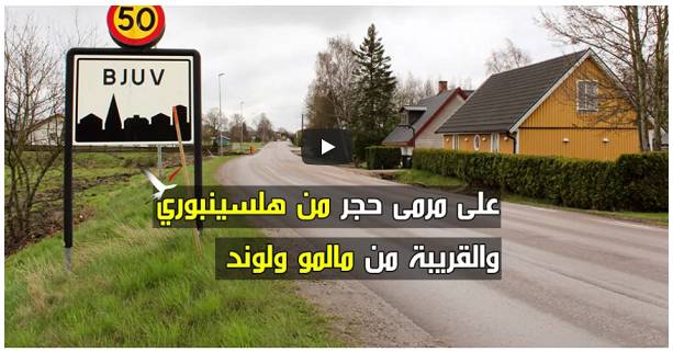 Untitled compressed 1