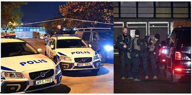 7c7a805c 0f60 4562 8433 a577618624f0 6