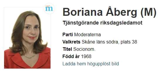 مقترحات للبرلمان السويدي لتغيير شروط منح الجنسية السويدية للحاصلين علي الإقامة الدائمة في السويد 2 Untitled 3 1 1