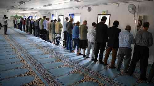 alkompis 251811512111