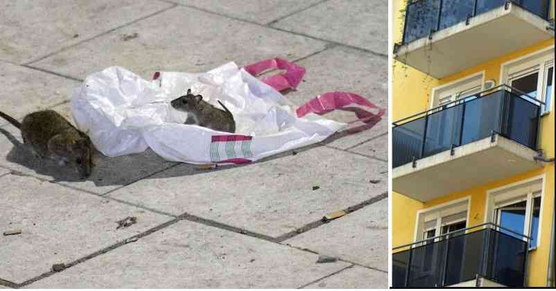 52dc8928 154d 44db 8b50 5b6f8cfe9786 6