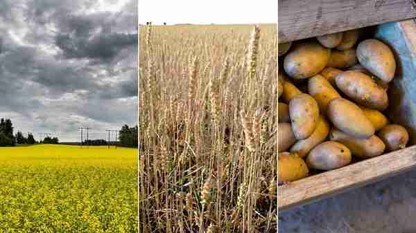 698fad75 4ae0 4456 ac33 2d0ef856de76 7