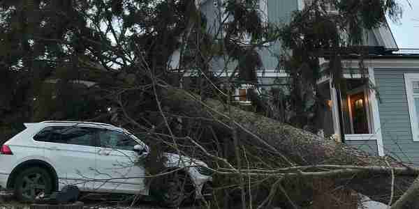 a4b4668d db66 465a a773 2f49998596dc 7