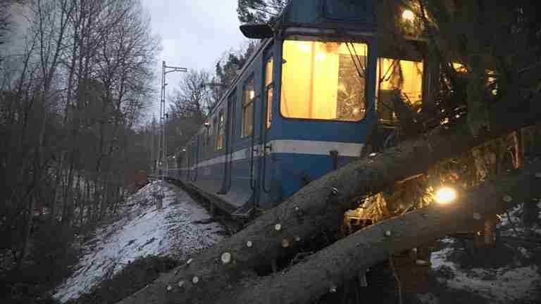 cc72eabd ba33 40a4 bd0c 0fe2d2822324 7