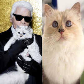 E 219580 20190223102813 1 4