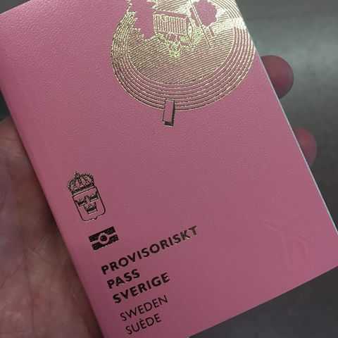 43291449 2183874305215810 2704143726339222995 n 4