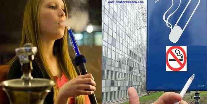 3481787 2048 1152 5 6