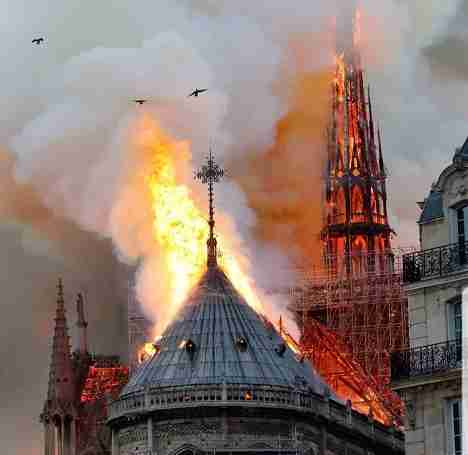 57161025 2146820118765054 5595001948869754880 n 7