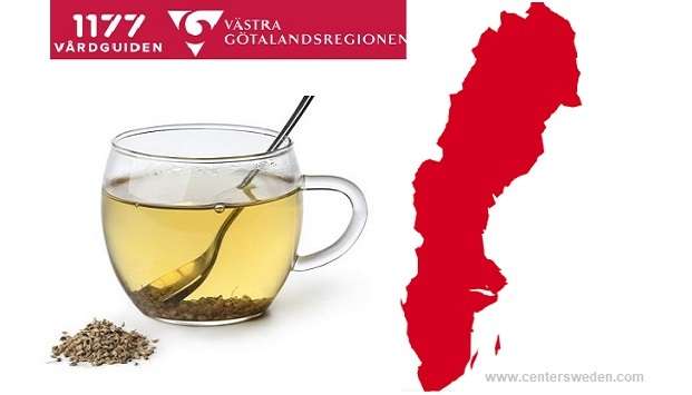 6859906 1086826190 3