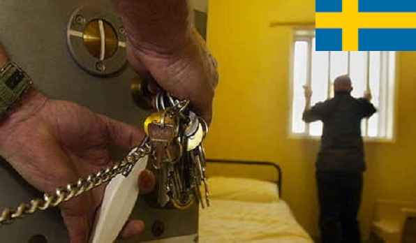 prison suede 2 884428521 4 5