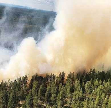 إندلاع حرائق جديدة في Gislaved مقاطعة يونشوبينج والشرطة ترجح السبب " رحلات الشواء" 6 skogsbrand trangslet brunnasen jpg 1 4