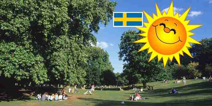 solsommarvarme LARGE 7