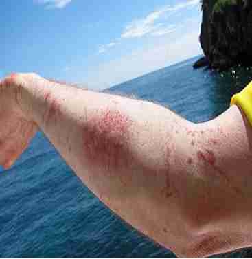 57939822000000 169 1024 7