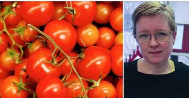 70184833 1418514851656908 4638373549340360704 n 5