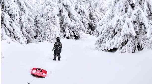 IMG 20181216 150654 6