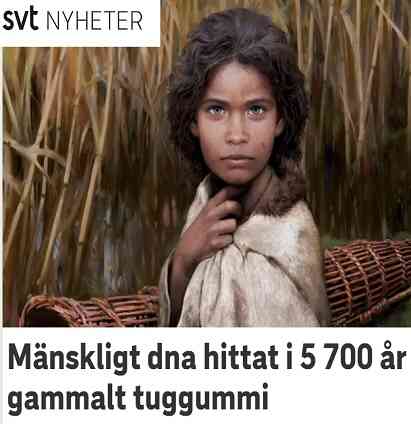 التوصل للحمض النووي البشري في "علكة" عمرها 5700 عام يوضح صفات سكان جنوب السويد والدنمارك 2 Untitled 6 12