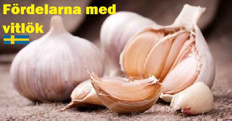 sarimsagin faydalari ve zararlari sarimsak yutmak maranki bildiriyor 1507311369 5