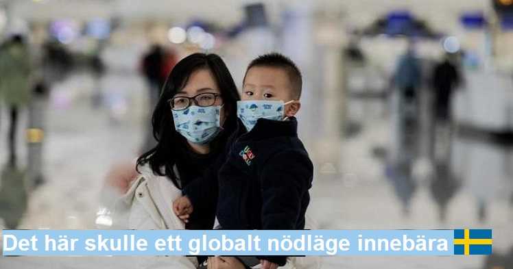 08148300621625502947352123017313