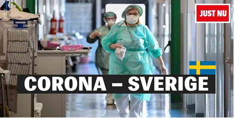 20200320 1584688057 852 large 6