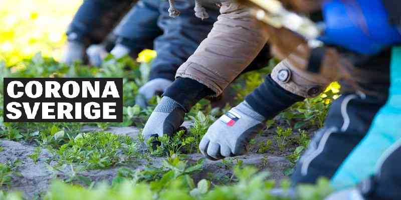 أوروبا قد تستعين بالمهاجرين غير شرعيين لإنقاذ الموسم الزراعي مقابل تسوية وضعهم ومنحهم الإقامة؟ 1 5 6 7