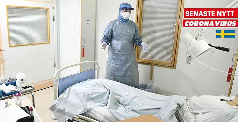 a9b8507f 182b 45e6 b9a1 454384daf662 6