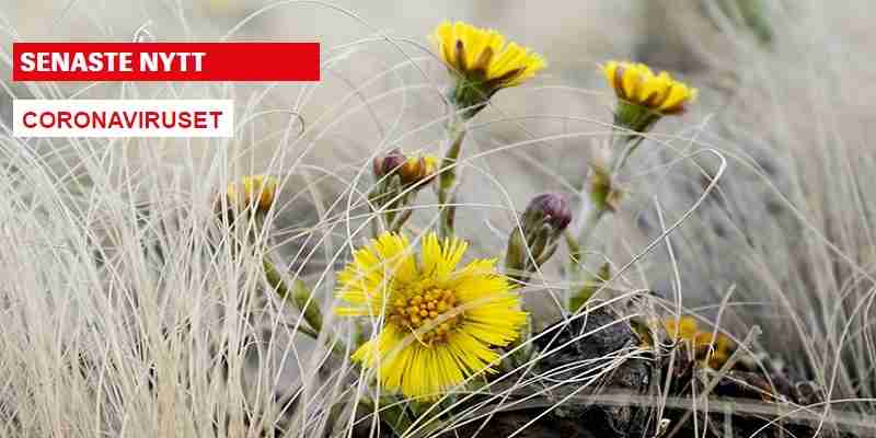 86542fd1 a75f 40cb 97da e4a5927b1d6d 7