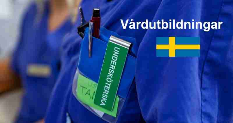 cropped vgr18 ko q3a1599 12794 7