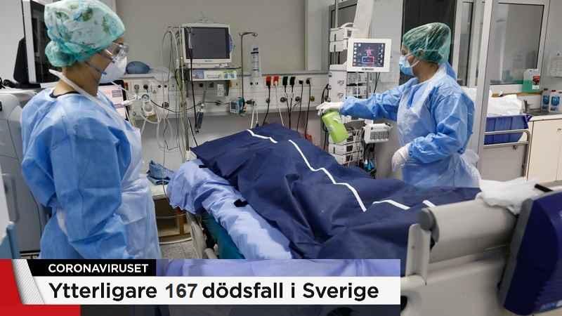 d41586 020 01355 z 17960816 5