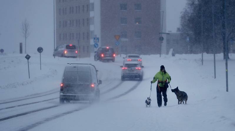 138394518 3670277126419338 8065025734554745997 o 2