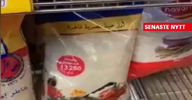 Untitled Design 1 45