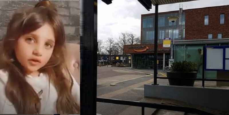 d1ea95c95d4920ea8c09f989 1