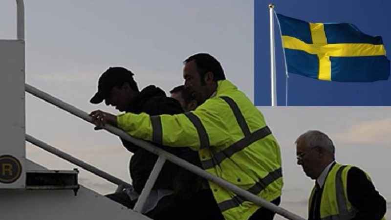 ترحيل قسري 2 800x531 compressed 1