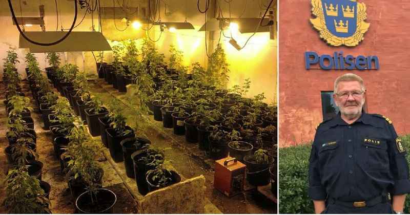 Mew BxjrNWCUtuC qpA6R 2 dcA