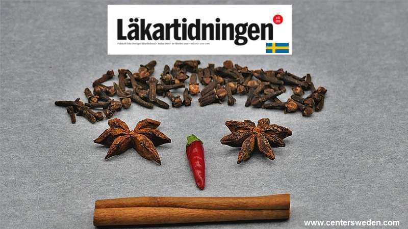 Cinnamon Star Anise Chili Food Spices 6388515 1