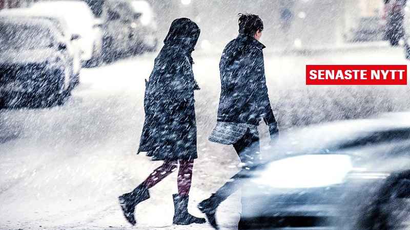 454438cb f18f 4584 8d8c 6476f047e598 1