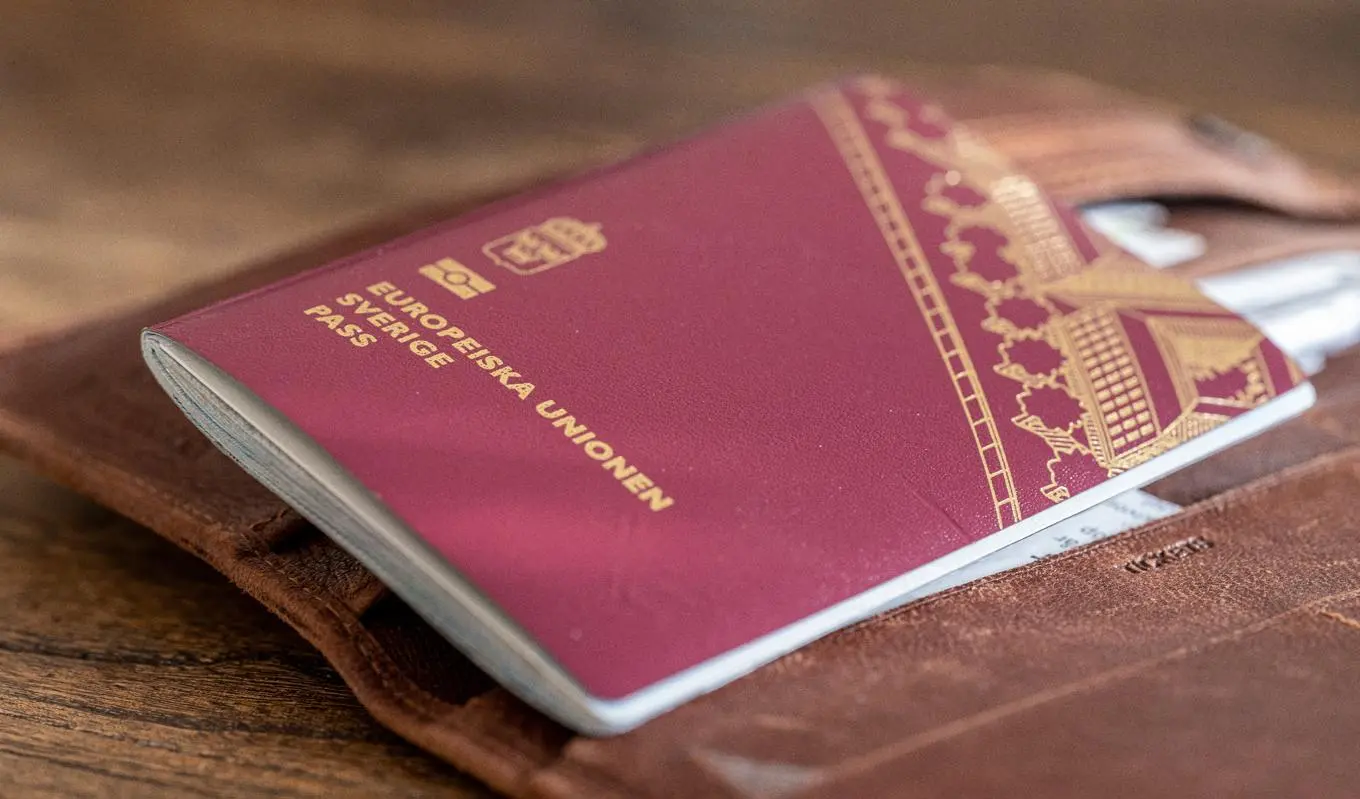 v40professorn 73246575 6565627 7336978 3692984