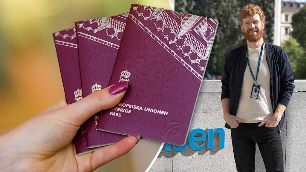 049a3836 886e 480b 8477 8d2ea4864d3c 1