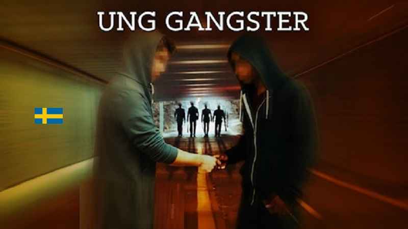 b6bdd6d8 3bb1 4f92 9c82 6e89d4c9609a 1