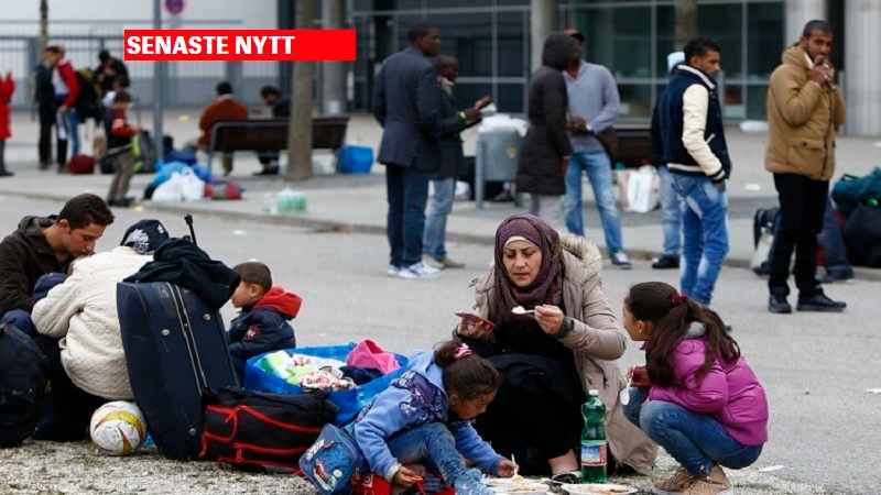 عيوب اللجوء في هولندا 1