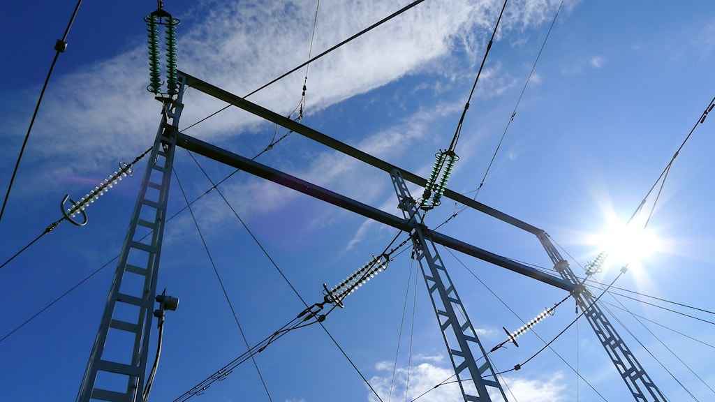 71cfacca 08dd 426d 8001 7074bb2d3f3f 1