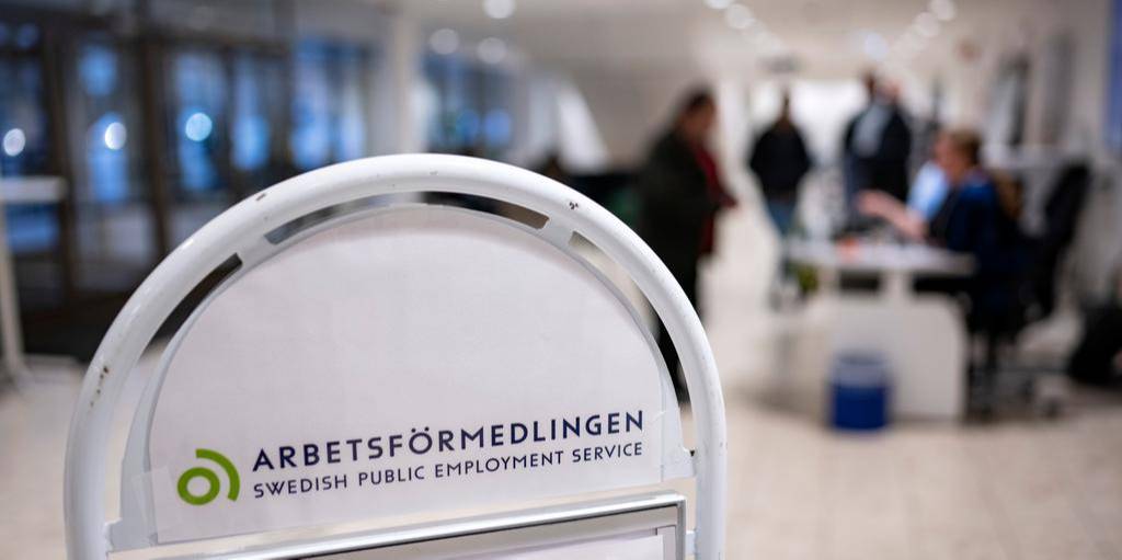 43f0daa5 c396 59eb 8be9 9a38be1d07b5 image jpeg 1